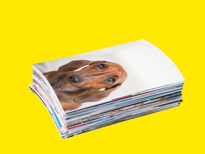 home-meerdagen-promoblok1-1200x900-2026-wk10-11