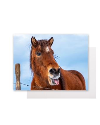 home-populaire-producten-11-1600x2000-2026-wk10-11-foto-op-kunststof