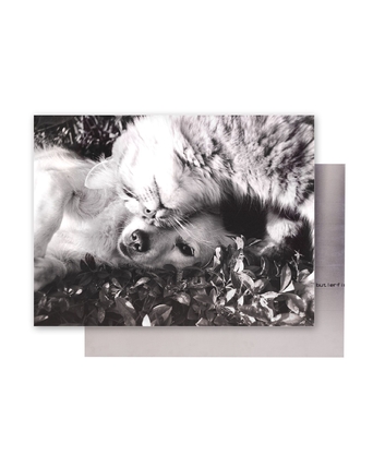 home-populaire-producten-1600x2000-2026-wk8-9