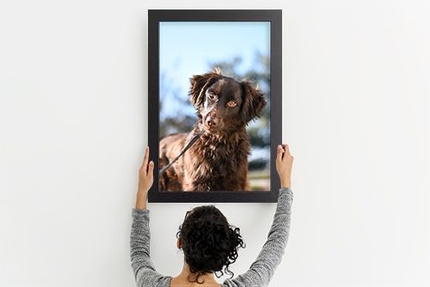 poster in lijst
