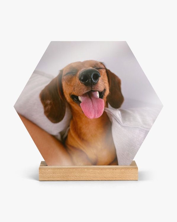 01_hexagon_37202267