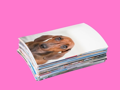 home-meerdagen-promoblok1-1200x900-2026-wk10-11