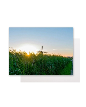 home-populaire-producten-1600x2000-2026-wk15-16-kunststof