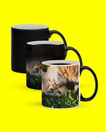 home-pp-magicmok-8-1600x2000-2025-wk47-48