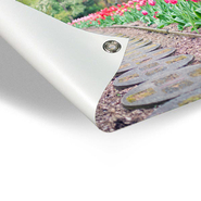photo sur poster de jardin